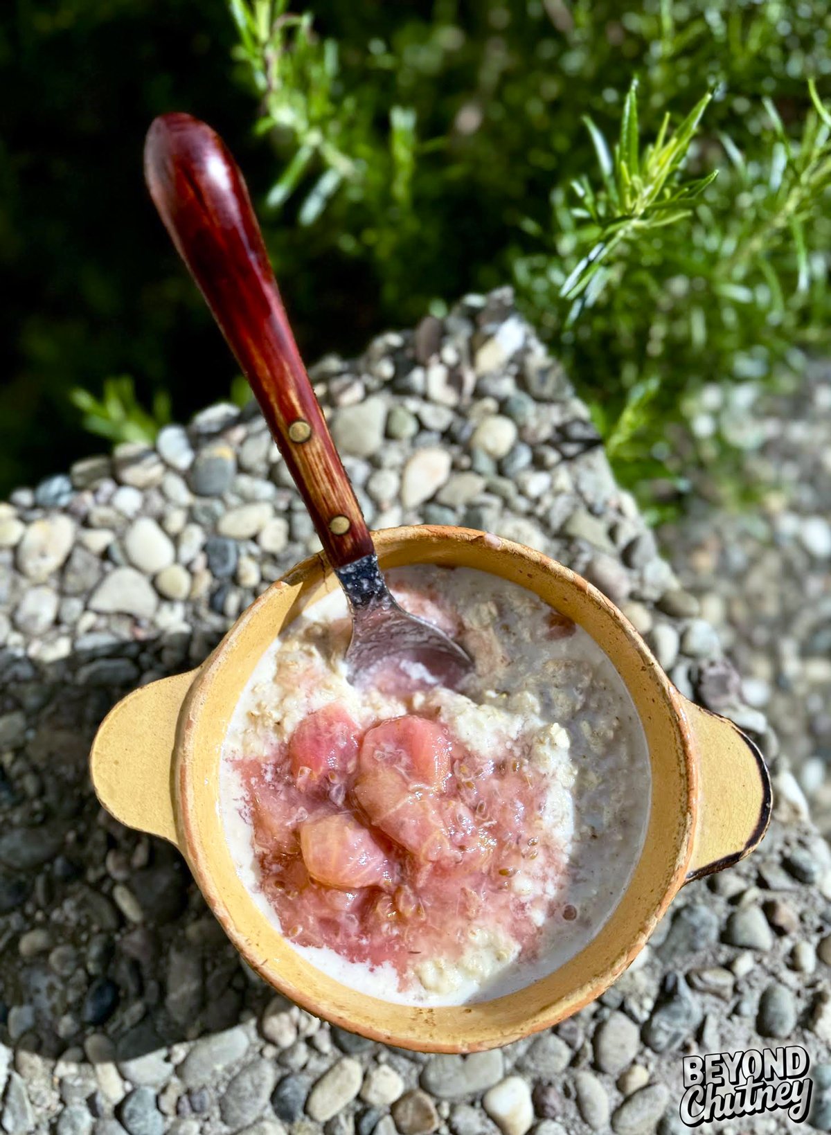 Warm oatmeal topped with soft, gently sour gooseberries — a cozy way to start the day.
