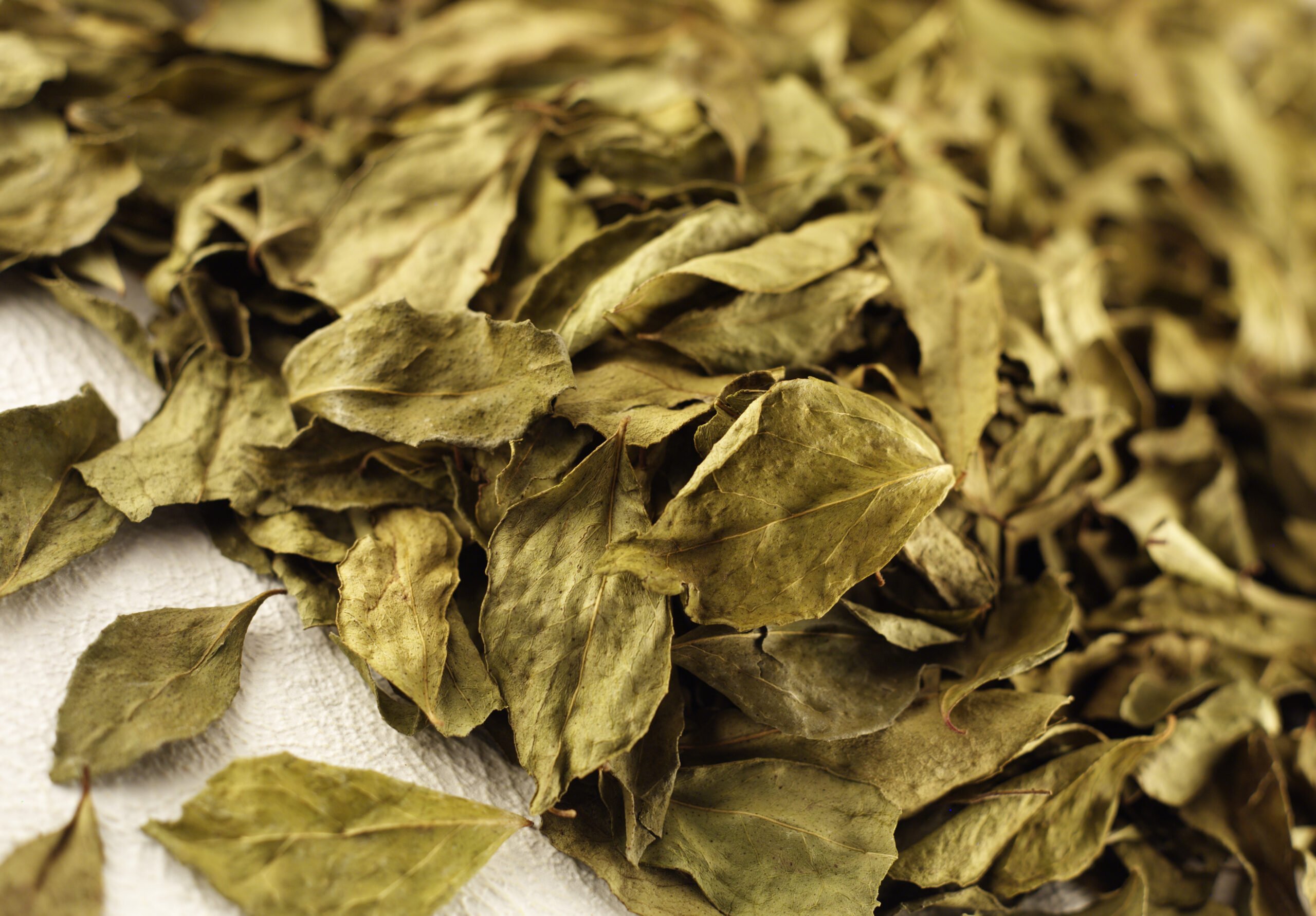 Curry leaves are often used dried in the US and Europe, where fresh ones can be hard to find - but they still bring a gentle, distinctive flavor to the dish.