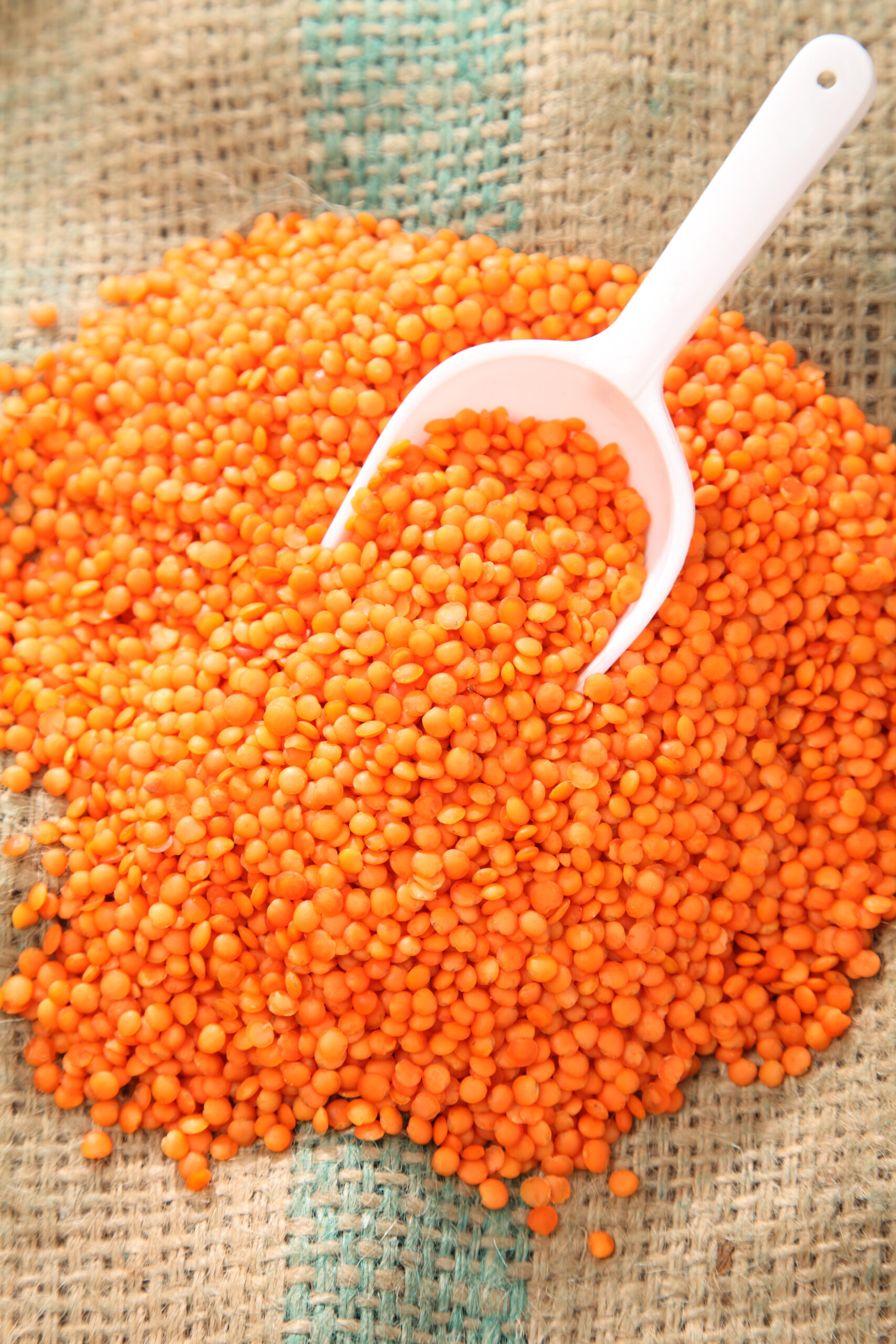 Masoor dal (red lentils), orange-red Indian lentils rich in protein and iron, commonly used in dals, soups, and curries.